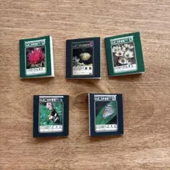 フエラムネ ジャポニカ学習帳 オリジナルまめノート