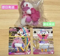 最安値☆ディズニー パルパルーザ ミニぬいぐるみチャーム カード ドナルド