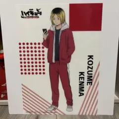 ハイキュー!!ゴミ捨て場の決戦　楽天ブックス特典 孤爪研磨