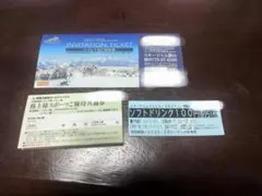 スキージャム勝山スキー場招待券セット 2025-2026