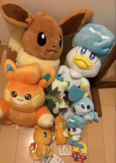 ポケモンセンター ぬいぐるみセット
