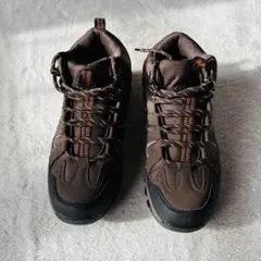 Item thumbnail for item 07b86193-35ea-498c-aea7-d7c42f324cc6