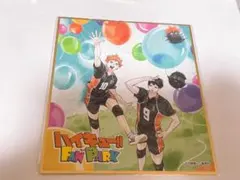 ハイキュー ファンパーク 入場特典 色紙 日向 影山