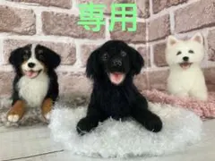 ヴィンテージラリーキルトのペットハウス スツール ラウンド 刺し子