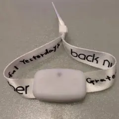 バックナンバーback number 2026 LEDリストバンド ペンライト - メルカリ