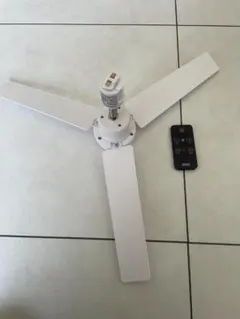 Item thumbnail for item 2fdff537-2061-41ba-a0ea-e336a6fc5cb7