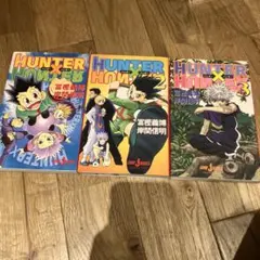 ハンター×ハンター 全巻　小説