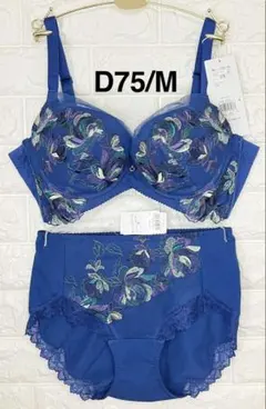 トリンプ　レッドレーベル0119花と油絵上下セット(深めショーツ) D75/M