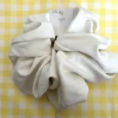 ビッグシュシュ