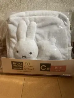 Item thumbnail for item dd3857bd-9bdc-435e-8eac-5a9e941dc97e