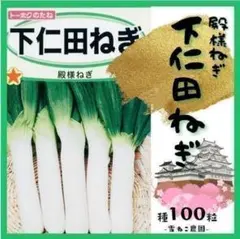 「下仁田ねぎ」種１００粒　極太でとろけるような舌ざわり！殿様ネギの貫禄！