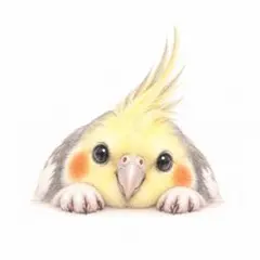 オカメインコ♡ミニアートプリント｜L判｜フレームなし