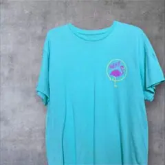 【NEFF】 ターコイズ Tシャツ フラミンゴ刺繍 Mサイズ 古着 海外