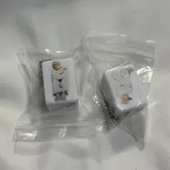 ald1 ジュンソ キーホルダー 少年BEAST 封入 Hissing