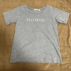 earth music & ecology M グレー Tシャツ