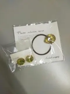 【新品未使用♪】ボタニカル　レジン　ヘアゴム　イヤリング　２点セット♫