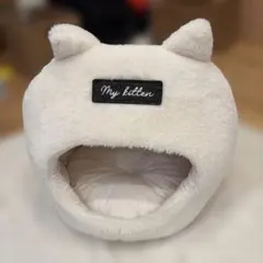 Item thumbnail for item 4076b2aa-e89d-4458-8a58-66785315063a