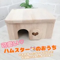 Item thumbnail for item f655c503-7fb3-4a16-943f-caa9c10e3543