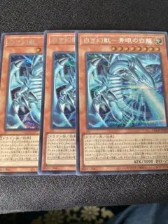 遊戯王　白き幻獣　青眼の白龍　シク3枚