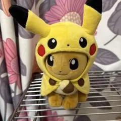 ポケモンセンター 限定 モクロー ポンチョ ピカチュウ ぬいぐるみ 2017