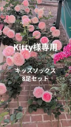 専用☆