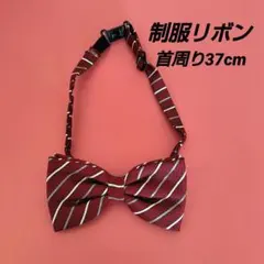 制服リボン 蝶ネクタイ ボルドー ストライプ