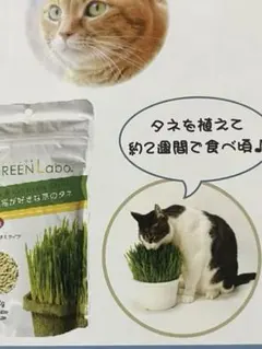 Item thumbnail for item 1d6ce319-8bf8-42af-8312-545d1fedd6c1