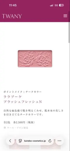 カネボウ　トワニー　チーク　ララブーケブラッシュフレッシュN ケース付きのサムネイル