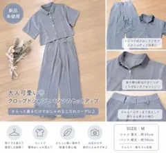 グレー クロップドシャツとパンツセットアップ