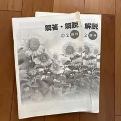 iワーク 中2 理科 解答・解説のみ 2冊セット