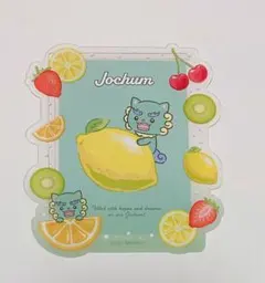 2025年最新】ヤヌカミ トレカケースの人気アイテム - メルカリ