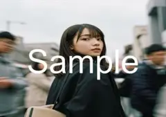 イラストポスター　グラビア　写真　A4サイズ　 J-E-４９