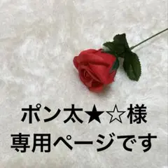 ポン太★☆様専用ページです