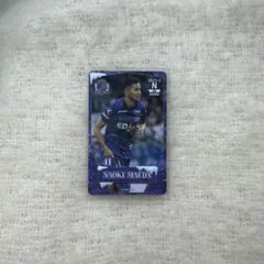 Item thumbnail for item 85306f0b-6fdf-4241-ab61-2bf29d0aaf98