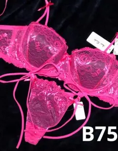 B75 フロレゾンローズレース脇高ブラジャー&サイド紐バック透けTバックショーツ