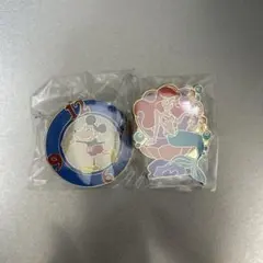 東京ディズニーリゾート ピンバッジ 2種セット