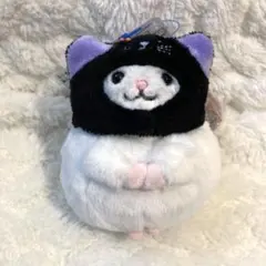 KALDI カルディ なりきり チンチラ マスコット 黒猫