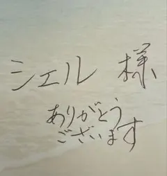 シェル 様　専用