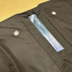 Item thumbnail for item 1142f650-f7a7-47bf-8fb2-5deba1b6d6a3