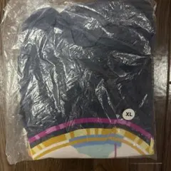 ポケモンGO ワイルドエリア 長崎限定 Tシャツ XL 蛍光 オーロンゲ 夜光
