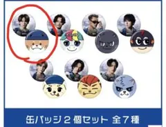 三代目 JSB 1000円ガチャ 缶バッジ 2個セット NAOTO