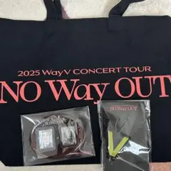 WayV 威神V 2025 NOWayOUT プレミアムシート アプグレ 特典