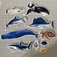 ⌘海の生き物⌘アイロンワッペンセット No.22