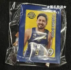 ★宇都宮ブレックス★遠藤祐亮選手　2025-26選手ミニチュアアートイーゼル