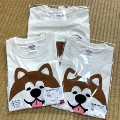 United Athle 犬の顔 Tシャツ 100.110.S セット