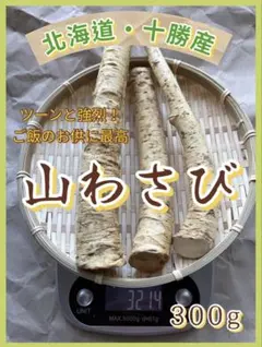 ⑰北海道産 天然山わさび お試しサイズ300gのサムネイル