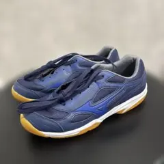 Mizuno ネイビー 室内用スニーカー