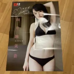 AKB48 向井地美音 両面ポスター