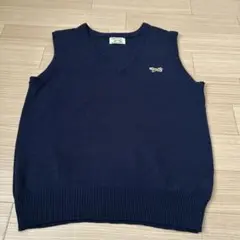 The Fox Collection ネイビー Vネックニットベスト