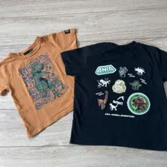 アニア　恐竜　子供用Tシャツ 半袖　2枚セット